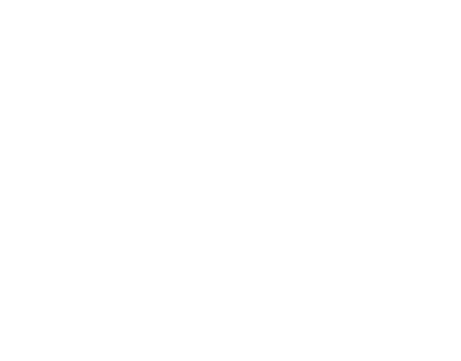 ZoneCalisthenic logo